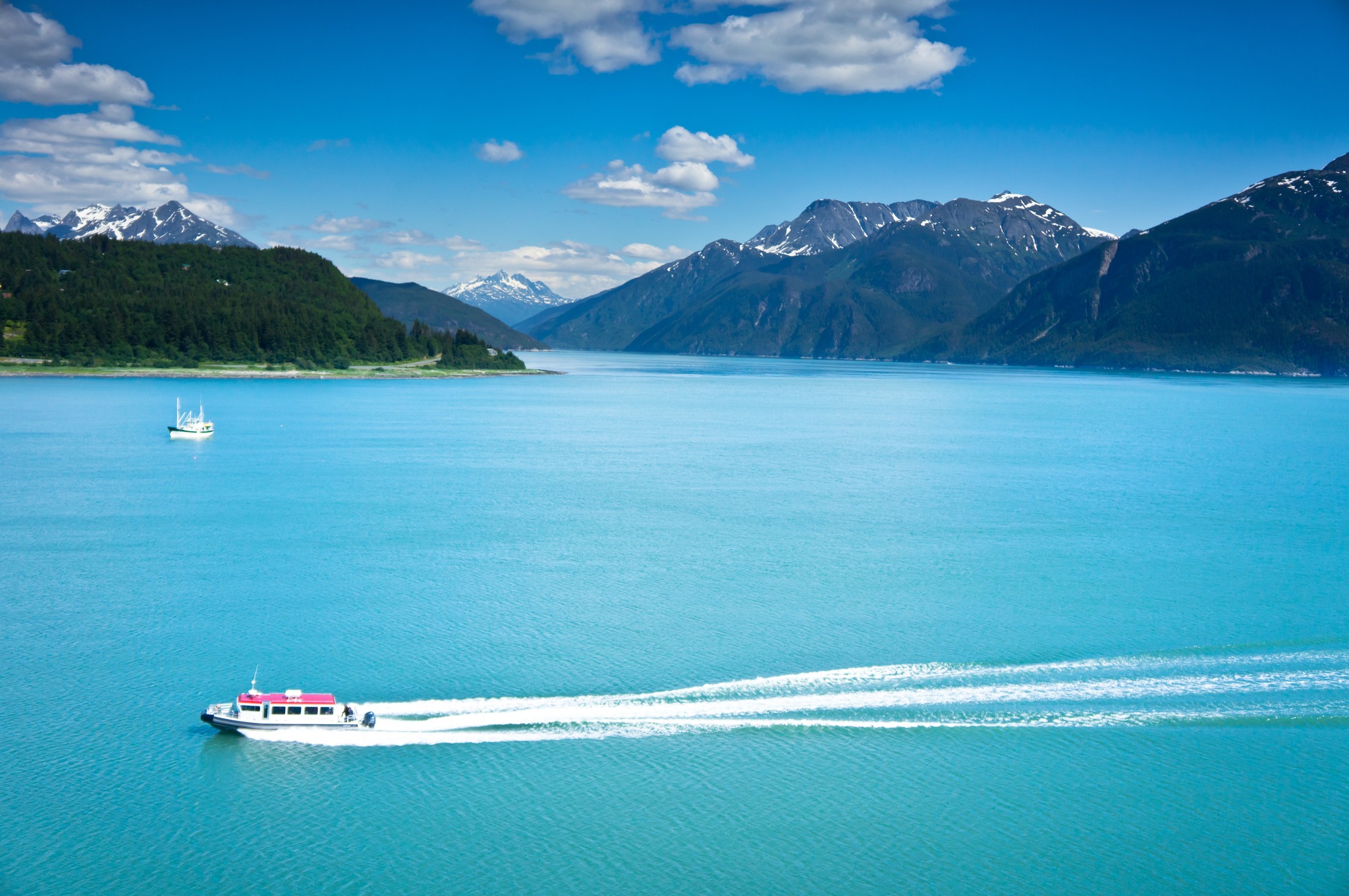 See the World Travel